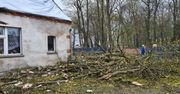 Drzewo przewróciło się na budynek