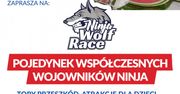 Pojedynek Współczesnych Wojowników Ninja