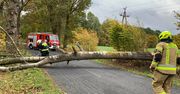 Łamią się drzewa, lecą dachy i słupy energetyczne