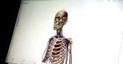 Nauka anatomii w trójwymiarze