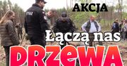 Łączą nas drzewa