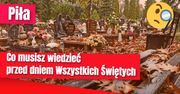 Co warto wiedzieć przed dniem Wszystkich Świętych