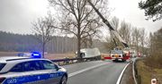 Pijany kierowca TIR-a uderzył w drzewo