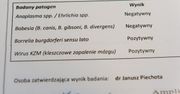 W tym roku potwierdzono w Polsce 2753 przypadki boreliozy i 47 kleszczowego zapalenia mózgu