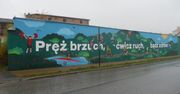 Mural w Trzciance zachęca do aktywności sportowej