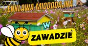 Otwarto enklawę miododajną w Zawadzie