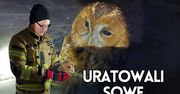 Brawurowa akcja strażaków. Sowa uratowana!