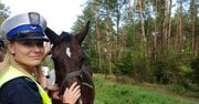 Policjanci z drogówki zatrzymali konia na DK 22