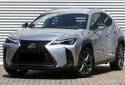 Lexus UX 300h F Sport Design 2.0 Hybrid Dynamic Force AWD
