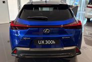 Lexus UX 300h F Sport 2.0 Hybrid Dynamic Force