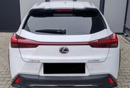 Lexus UX 300h F Sport Design 2.0 Hybrid Dynamic Force