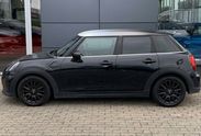 Mini Mini Standard