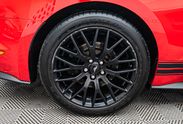 Ford Mustang 5.0 V8 GT