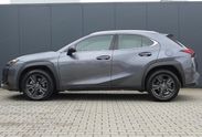 Lexus UX 300h Business