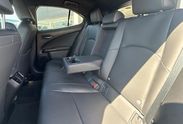 Lexus UX 300h F Sport Design Hybrid Dynamic Force