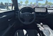 Lexus UX 300h F Sport Design Hybrid Dynamic Force