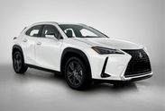 Lexus UX 300h Business