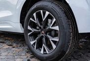 Cupra Terramar 1.5 e-TSI DSG