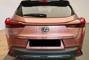 Lexus UX 300h F Sport Design 2.0 Hybrid Dynamic Force AWD