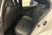 Lexus UX 300h F Sport Design Hybrid Dynamic Force