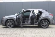 Lexus UX 300h Business