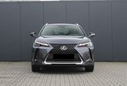 Lexus UX 300h Business