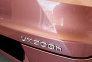 Lexus UX 300h F Sport Design 2.0 Hybrid Dynamic Force AWD