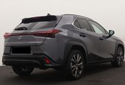 Lexus UX 300h F Sport Design 2.0 Hybrid Dynamic Force