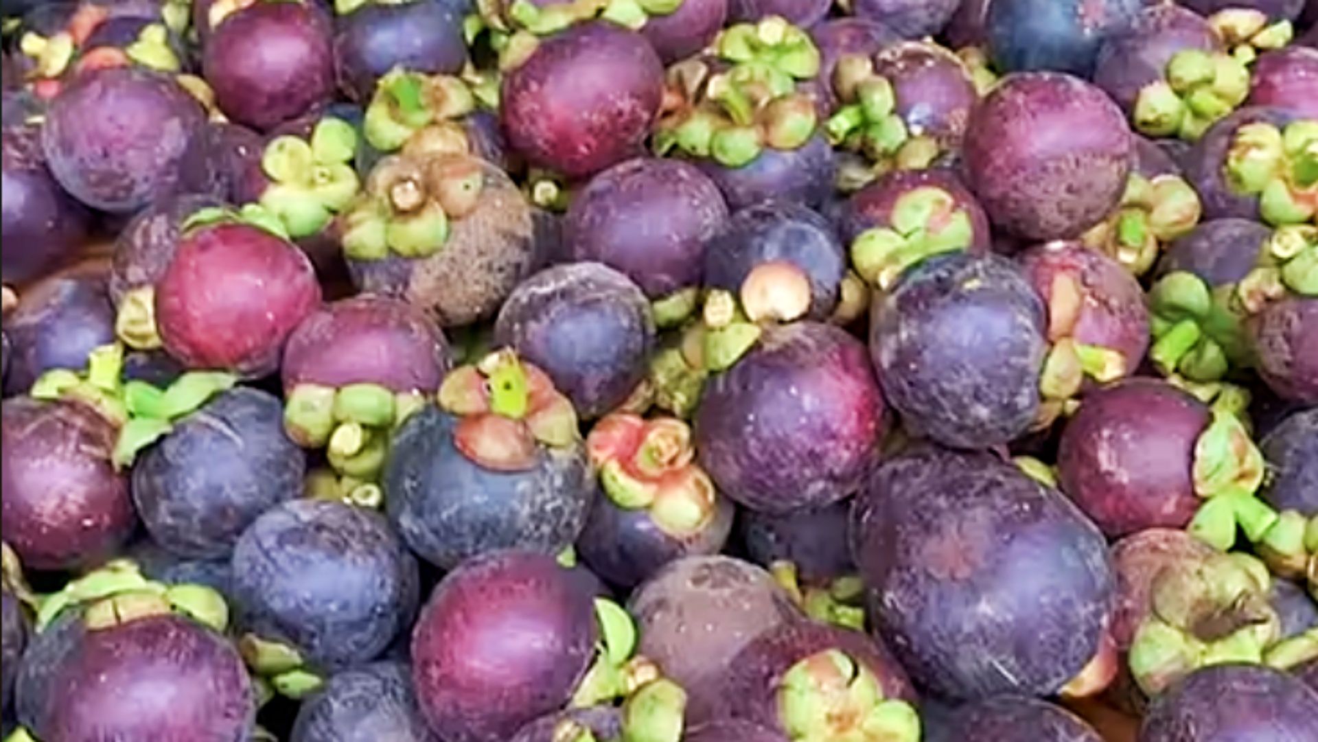 Gdy widzę w sklepie, od razu kupuję. Jest pyszny i ma wielką moc