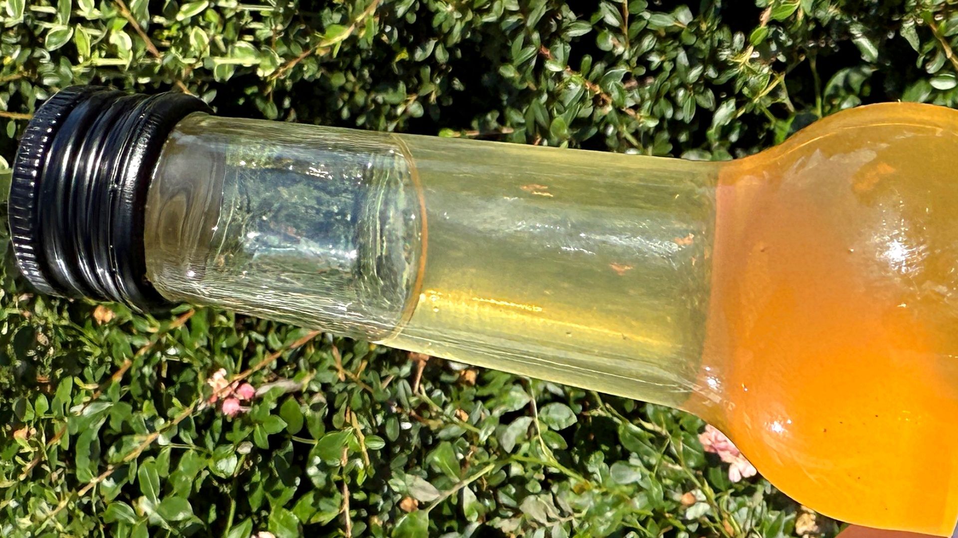 Piję ten napój niemal codziennie. Moje jelita pracują jak należy i nie mam wzdętego brzucha