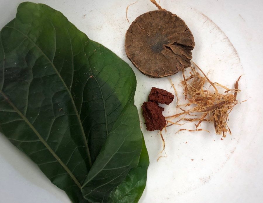 Na zębach sprzed 4000 lat odkryto najwcześniejsze ślady żucia psychoaktywnych orzechów betelowych