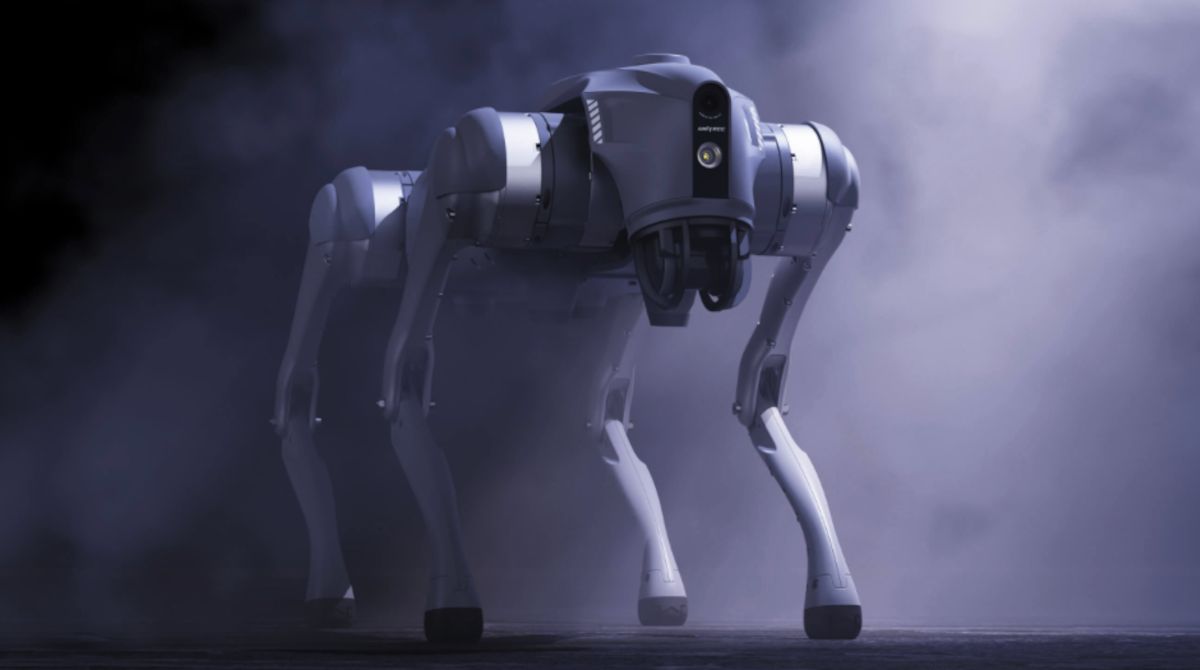 Psy będą zwalczać komary. Nie będą to jednak zwykłe zwierzęta