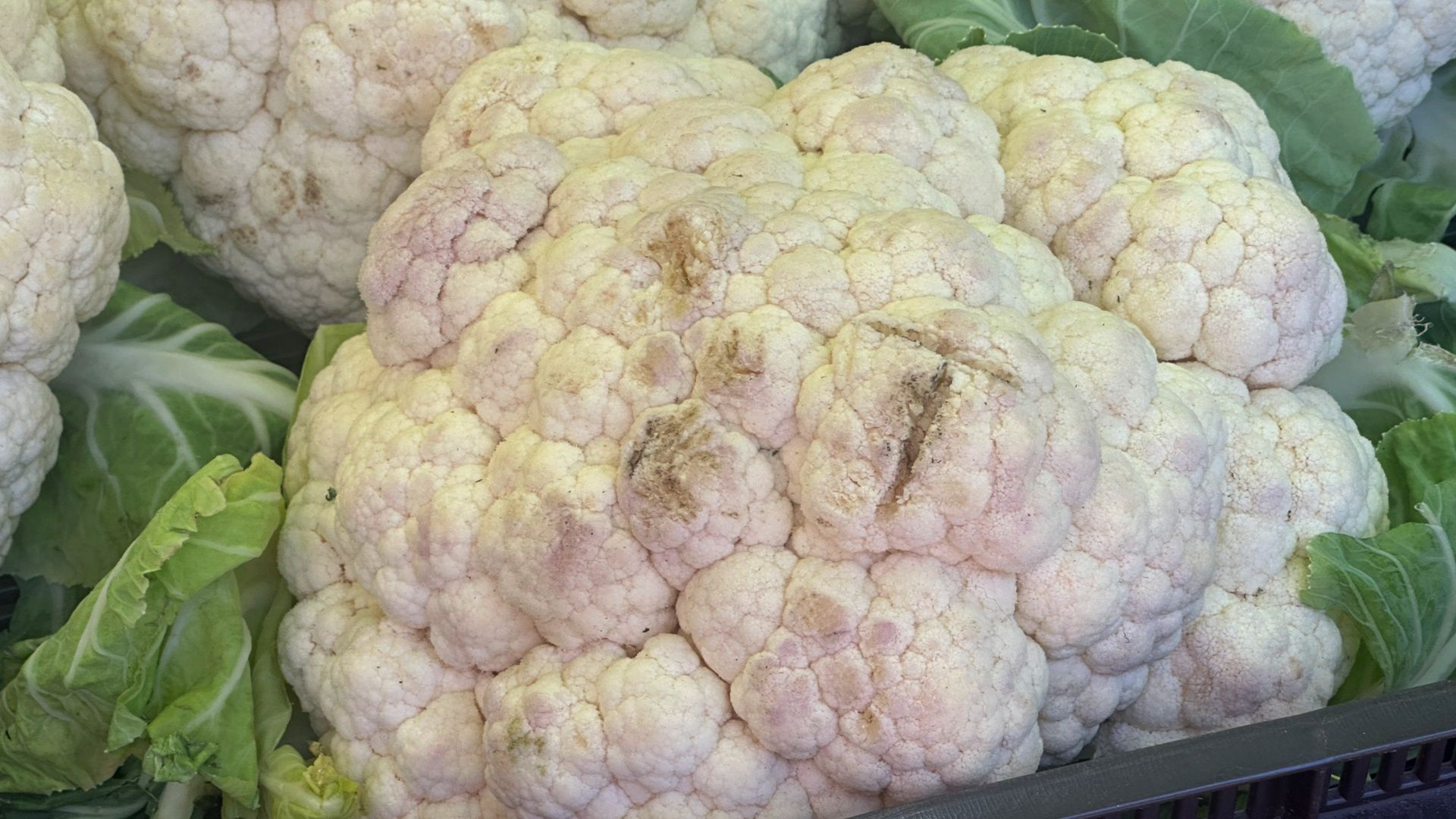 Zauważyłeś czarne plamy na kalafiorze? Nie każdy wie, o czym to świadczy