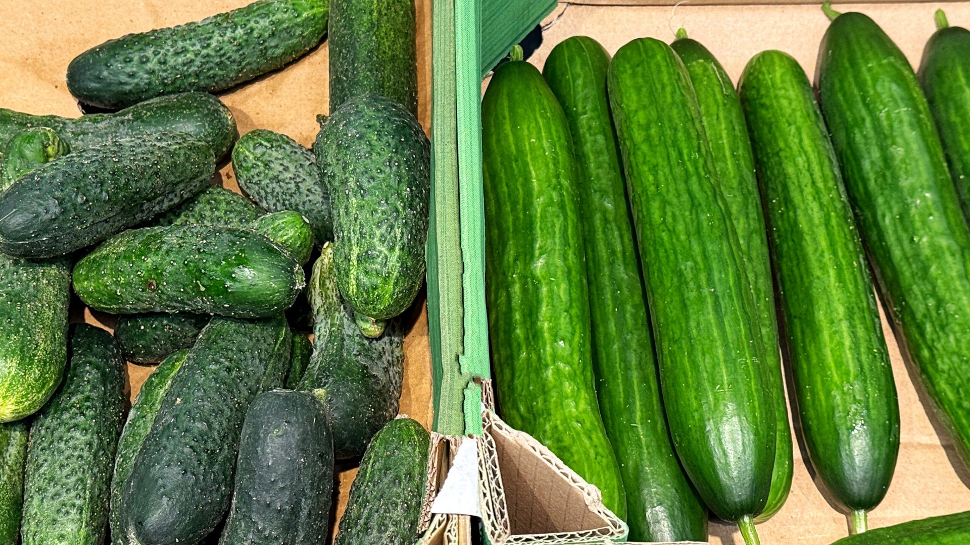 Czym różni się ogórek szklarniowy od gruntowego? Więcej niż tylko skórką