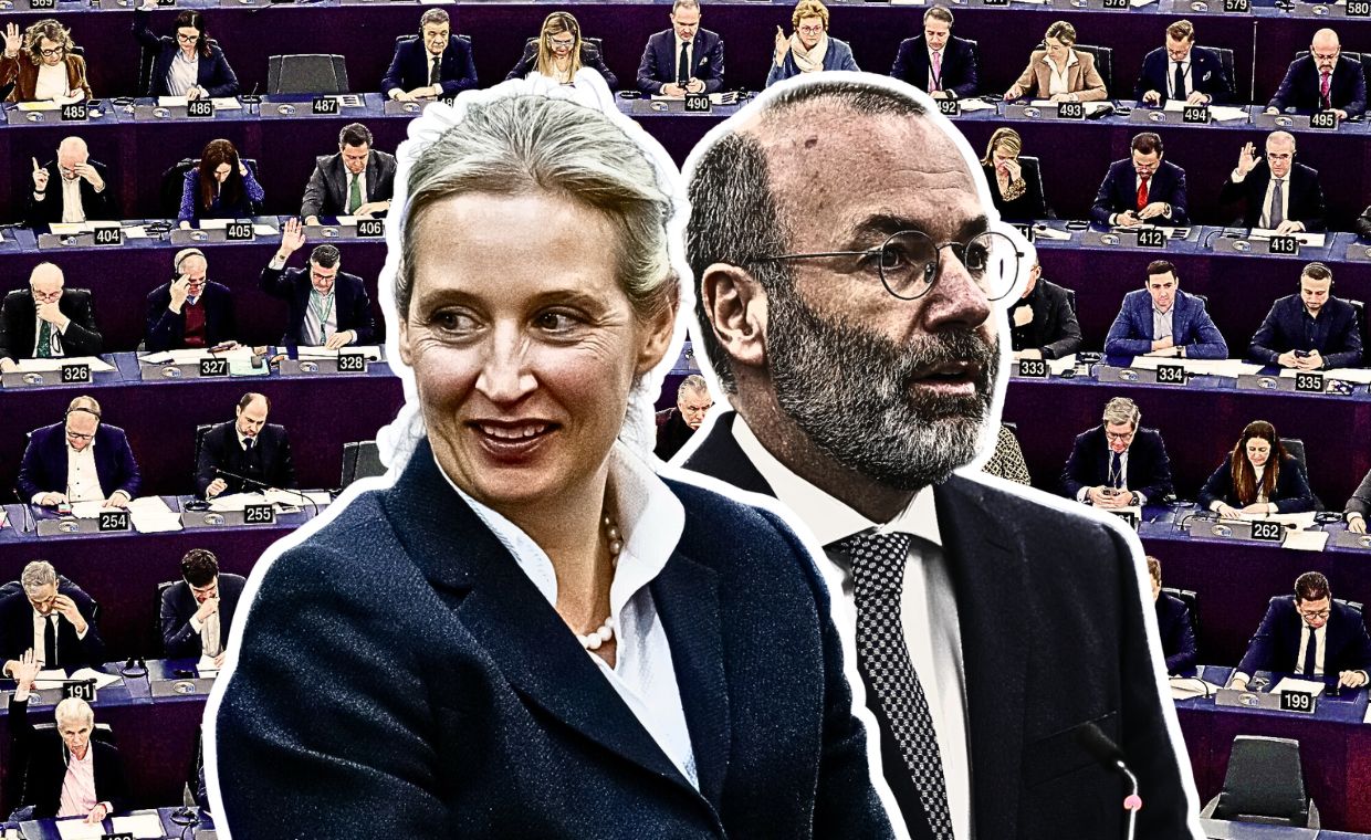 Skandal w Niemczech. Europejskie centrum współpracuje z AfD