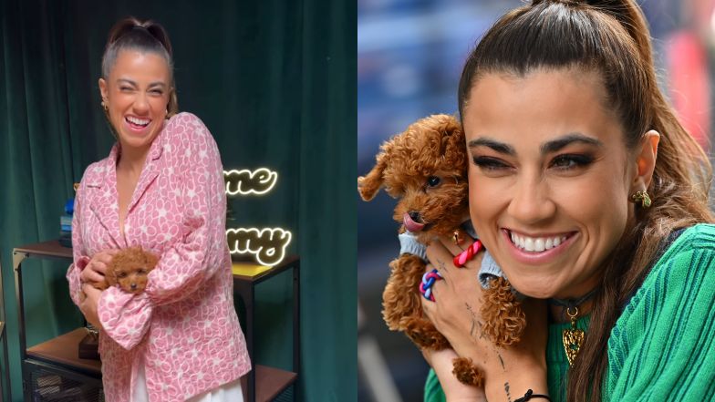 AFERA o nowego psa Mai Hyży. Celebrytka odpowiada na zarzuty, iż kupiła go z PSEUDOHODOWLI!