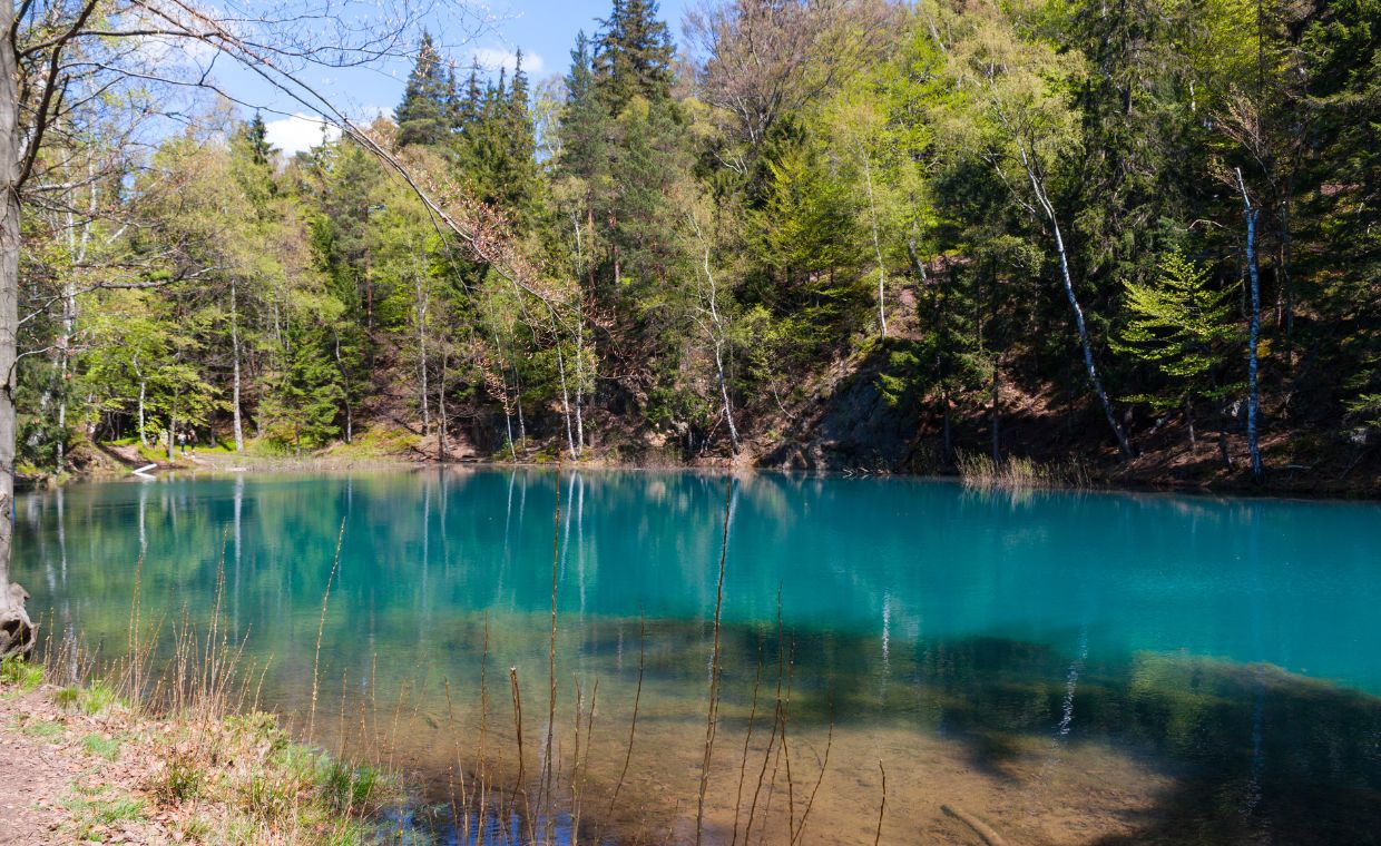 Unikalne miejsce na Dolnym Śląsku, które przyciąga turystów z całej Polski. Wszystko przez nietypowe kolory