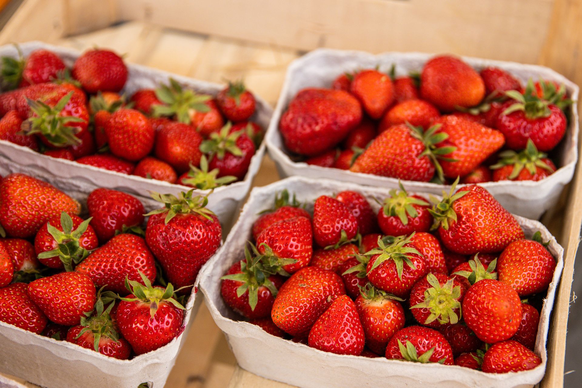 Ceny polskich truskawek lecą w dół. Tyle w tej chwili kosztuje kilogram