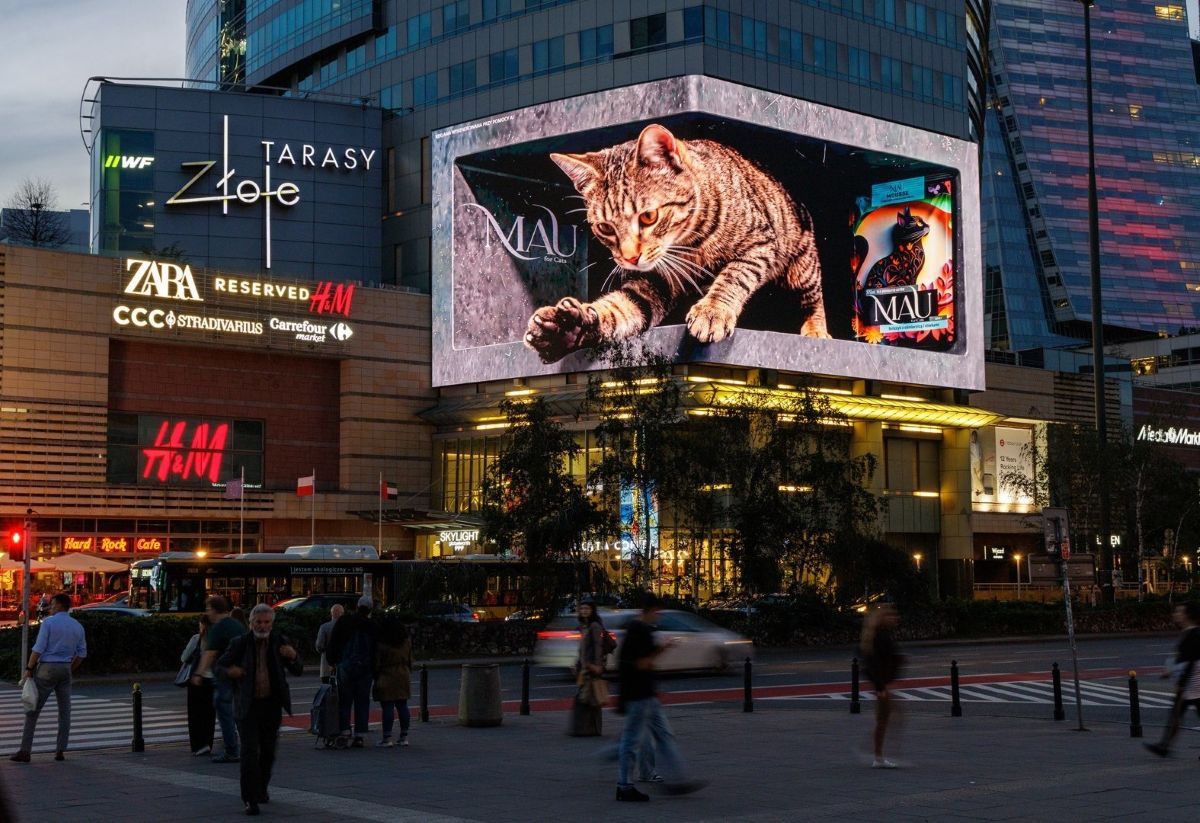 Gigantyczny kot podbija Warszawę i internet. Miliony wyświetleń reklamy 3D