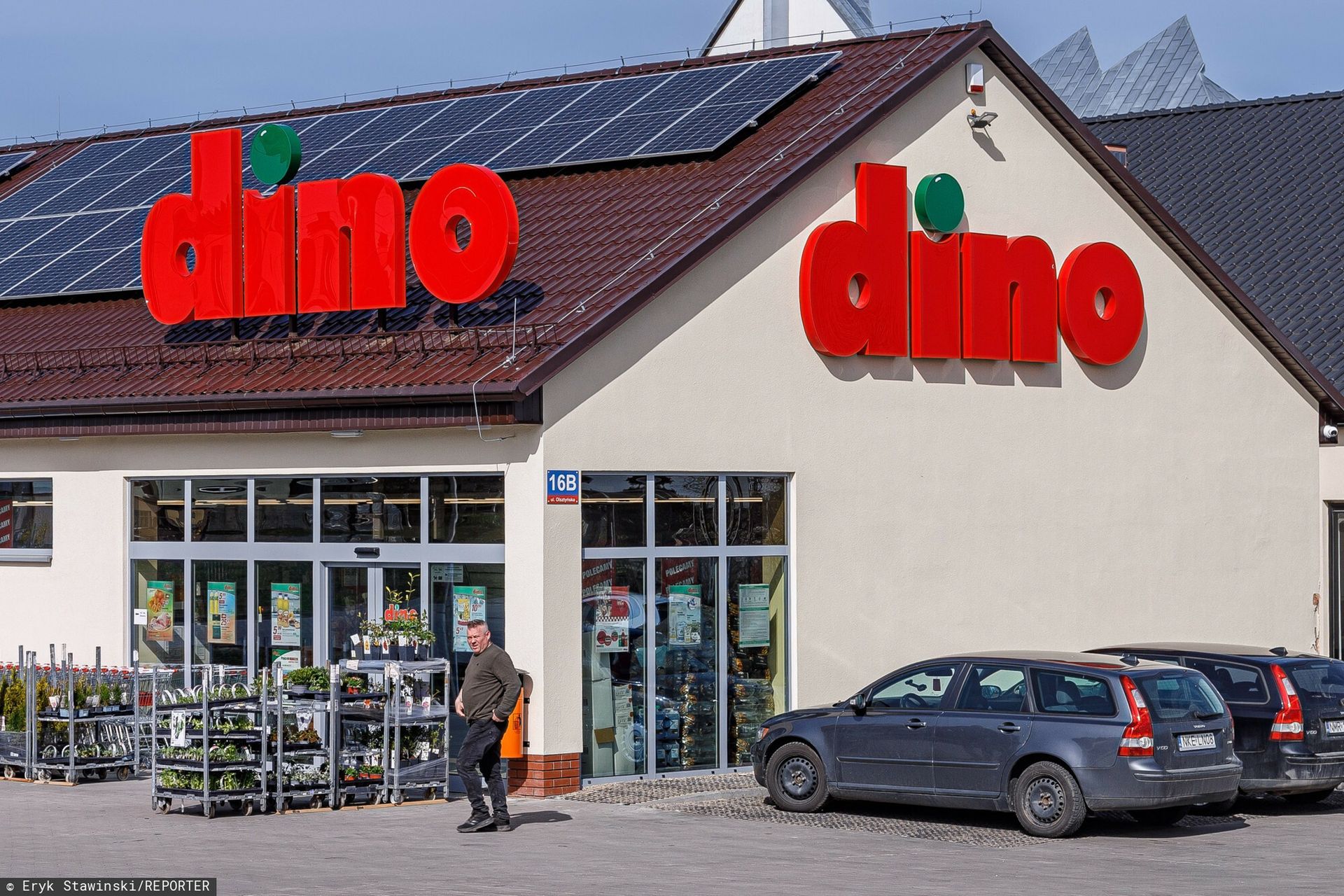 Tajemniczy właściciel Dino. Tak żartuje ze swojego wypadku