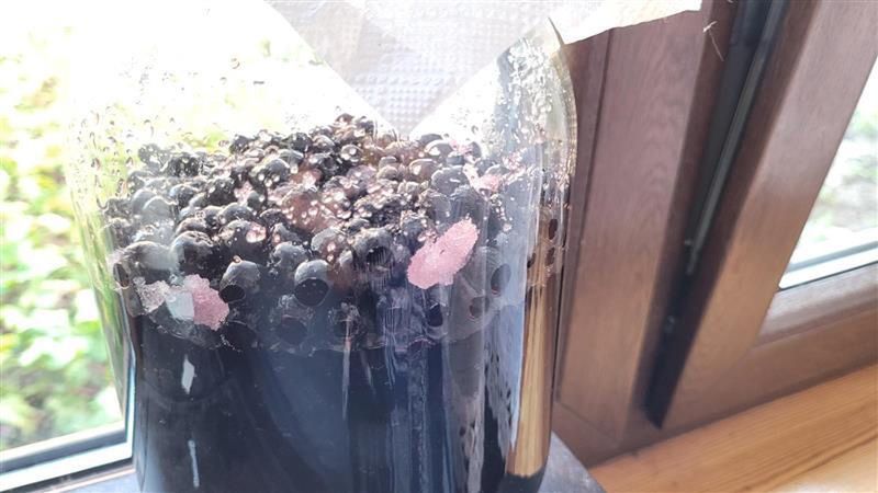 Ostatni moment na przysmak z polskiego antyutleniacza. Bez goryczki i specjalnego sokownika