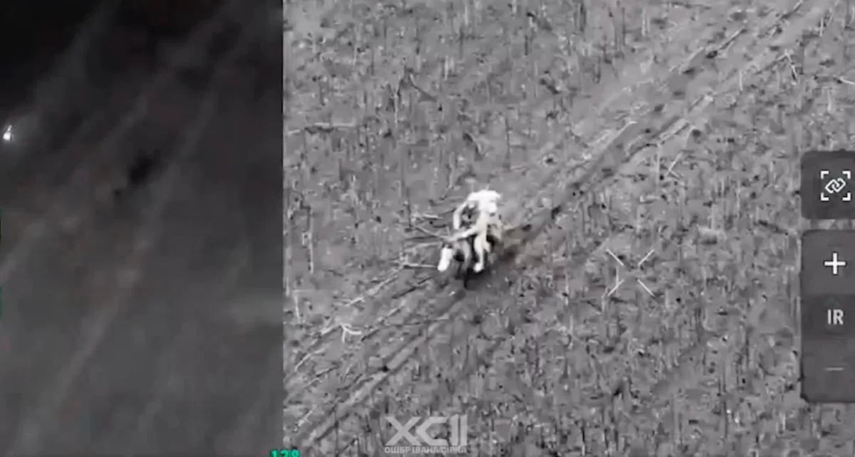 Rosjanie na koniach. Tak szarżują na froncie