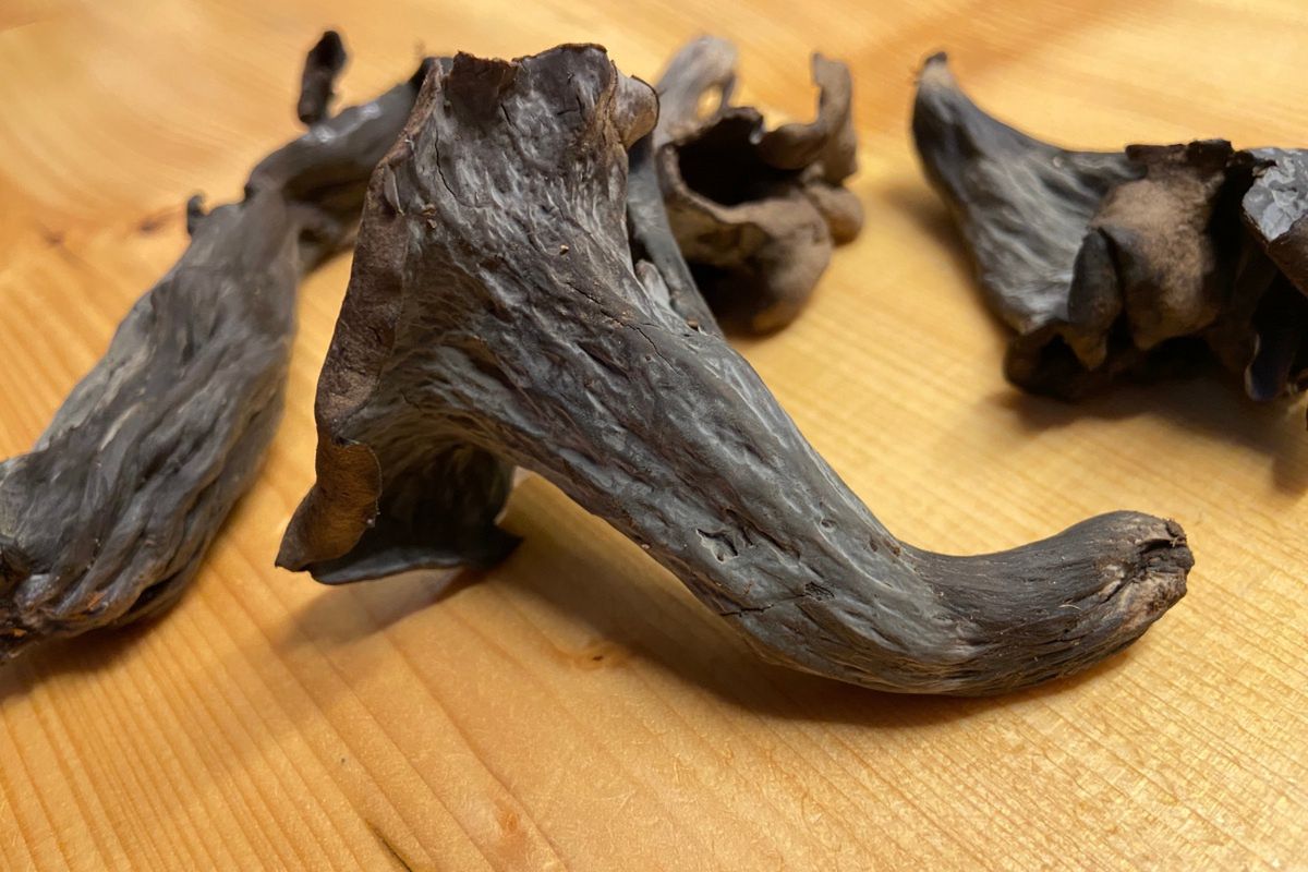 Właśnie zaczyna się sezon na te grzyby. Są najlepsze do farszu na pierogi i uszka, a mało kto wie