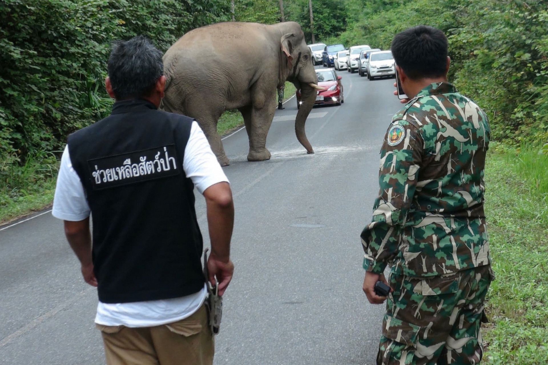 Tragiczne wieści z Tajlandii. Już ponad 30 wypadków od początku roku