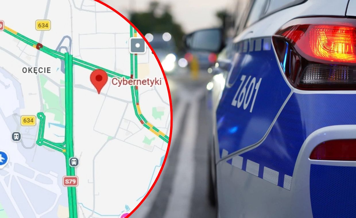 Czarna seria w Warszawie. Kolizje z udziałem dzikiej zwierzyny