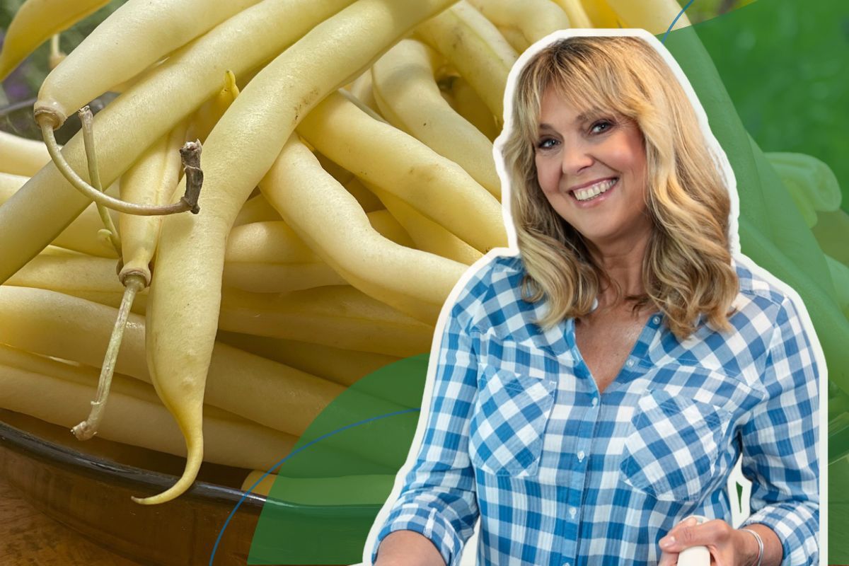 Popisowa zupa, deser i zapas na zimę. Wachowicz o szparagówce, jakiej nie znacie