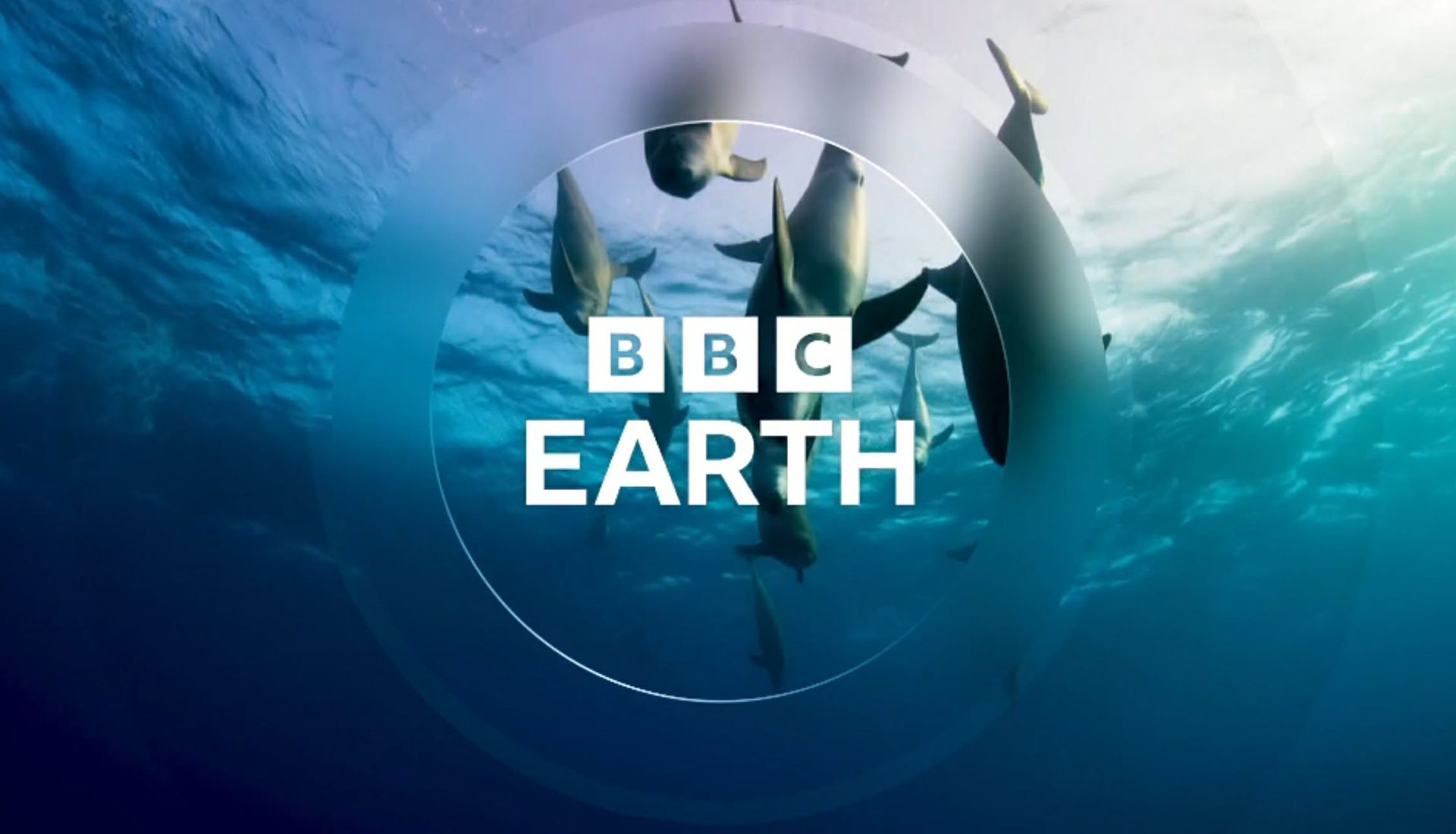 BBC udostępni nowe kanały na YouTube