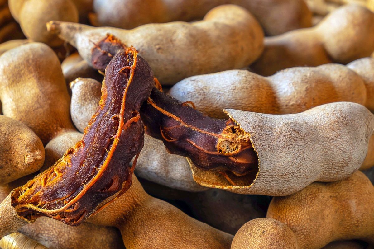 Nowy owoc w polskich sklepach. jeżeli zauważysz, kupuj bez wahania