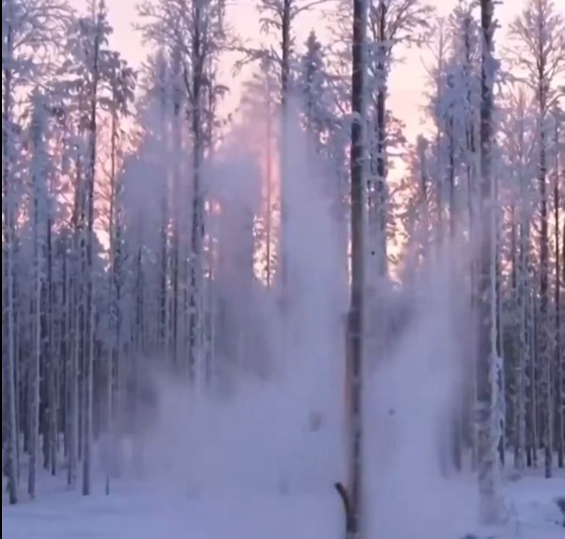 "Eksplodują" i są głośne. To naturalne zjawisko