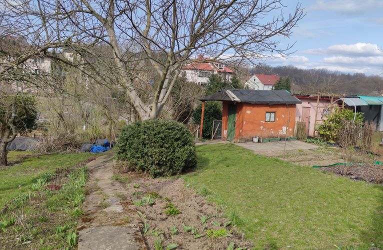 Działkowicze siedzą na kapuście. Ceny ROD-ów idą w setki tysięcy